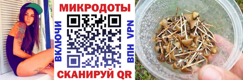 Купить где  Олёкминск  Галлюциногенные грибы мухоморы 